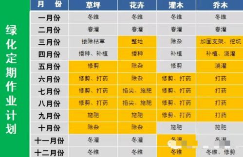 物業環境外包管控要點 純干貨，助力服務評估與優化