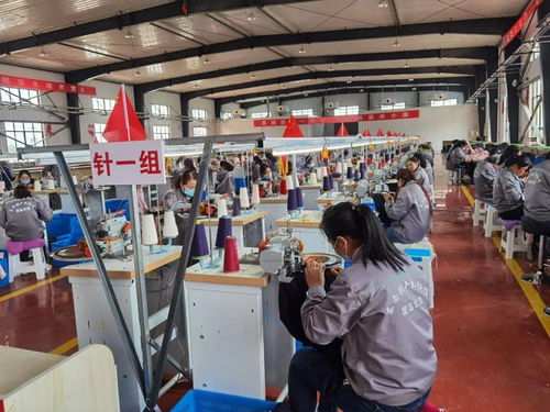 現(xiàn)實(shí)版 山海情 廈門唯一上榜集體 國(guó)家級(jí)殊榮